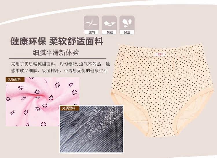 Slip Moyen-âge N8L5X20015 en coton - Ref 666096 Image 15