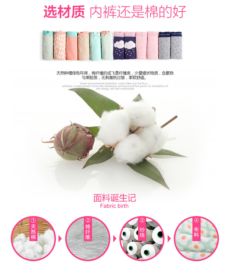 Slip jeunesse NF14X25232 en coton - Ref 666086 Image 17