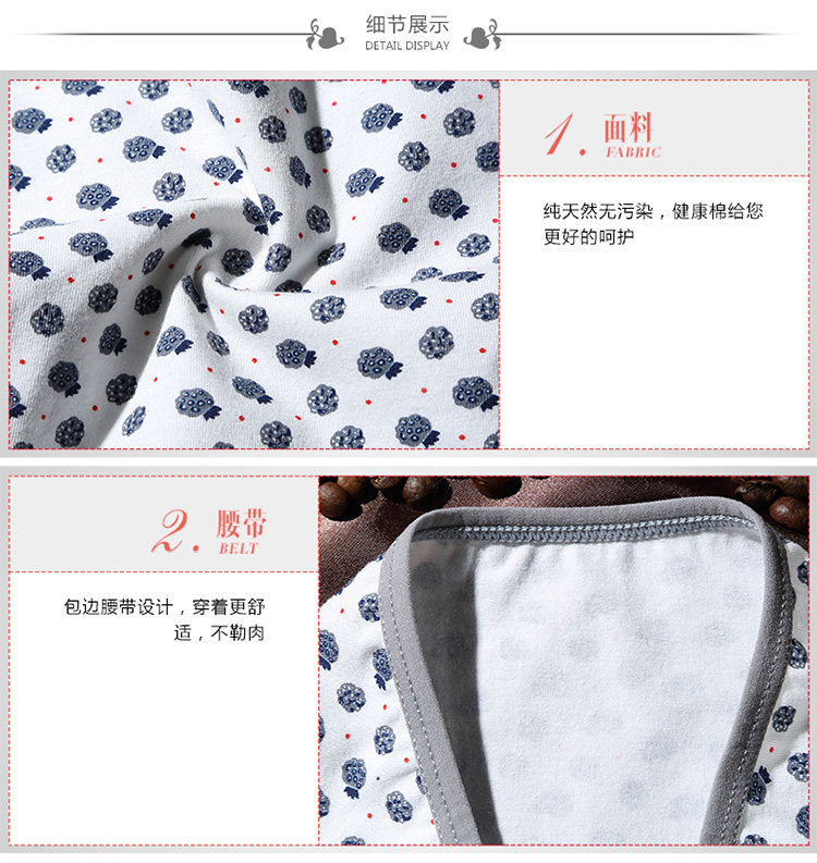 Slip jeunesse NF16X25572-5 en coton - Ref 666097 Image 10