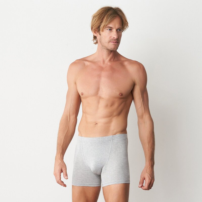 Tani Tingyi Brand Plus Size Loose Underwear Men's Modal Breathable Boxer Briefs Antibacterial Boxer Shorts Tani Tingyi Brand Plus Size Loose Underwear Men's Modal Breathable Boxer Briefs Antibacterial Boxer Shorts