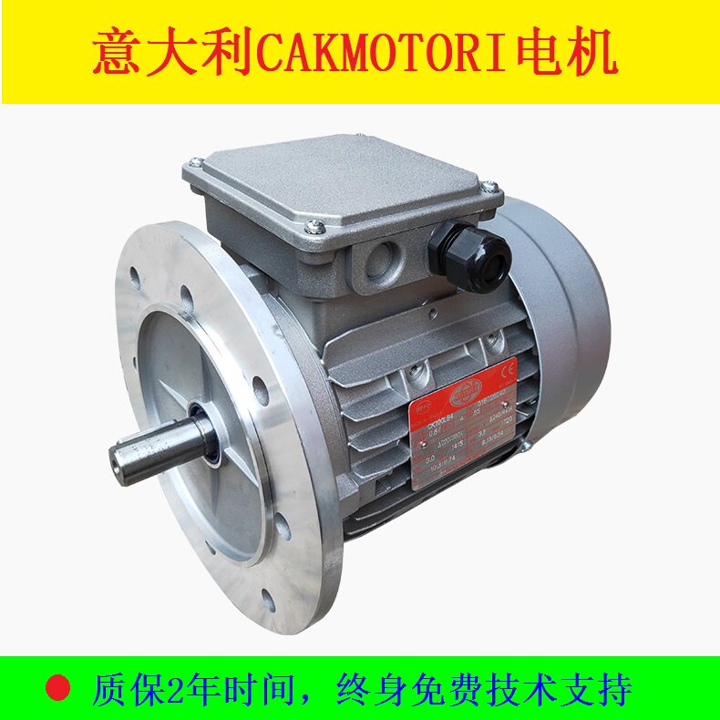 The CAKMOTORI 220240260380400415440460480v motor in Italy