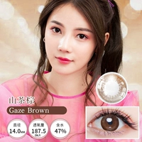 Камелия Браун-Гидравлический Браун