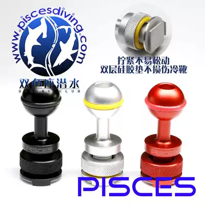 Cold boot ball head camera bracket ball head diving shell ball head