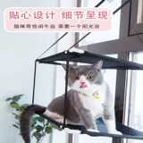 Кошка затруднена всасывающая кошачь