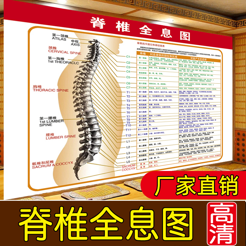 Body Spine Holography neural distribution map Spine Related Diseases Schematic Poster of Traditional Chinese Medicine Health Wellness Hanging Drawings