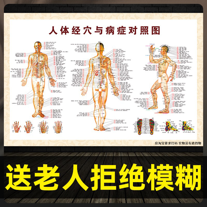 Human meridian acupuncture point map HD large flip chart Chinese medicine acupuncture moxibustion real person full body back foot massage poster