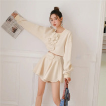 Three-dimensional flowers royal blue short sweater female spring and autumn thin tide ins design sense niche Korean loose