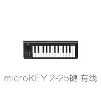 Microkey 2 25 ключ