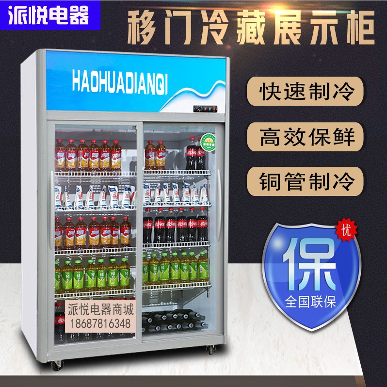 Two doors push-pull door fresh refrigeration cabinet refrigerator large capacity double door beverage cabinet refrigerator