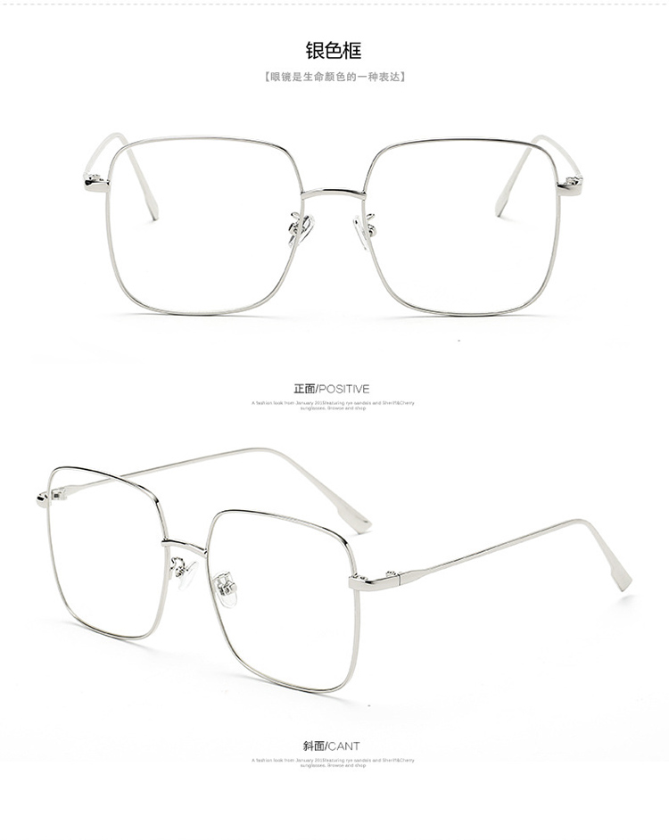 Montures de lunettes en Alliage cuivre-nickel - Ref 3139347 Image 20