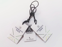 PM3 final extreme version Teslian door fasting copy read and write 15693uid writable terminus smart lock card sticker