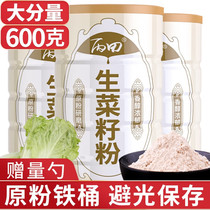 Bingtian Northeast lettuce seed powder pure powder cooked lettuce seed powder middle-aged and elderly people without added sucrose with cucumber seed powder black