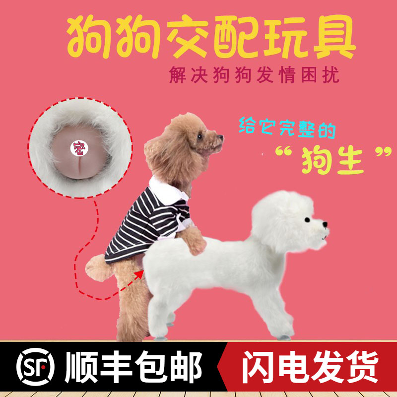 Dog ventilated sex toy puppy with inflatable dog leaks partner laxation matching Teddy legs ride