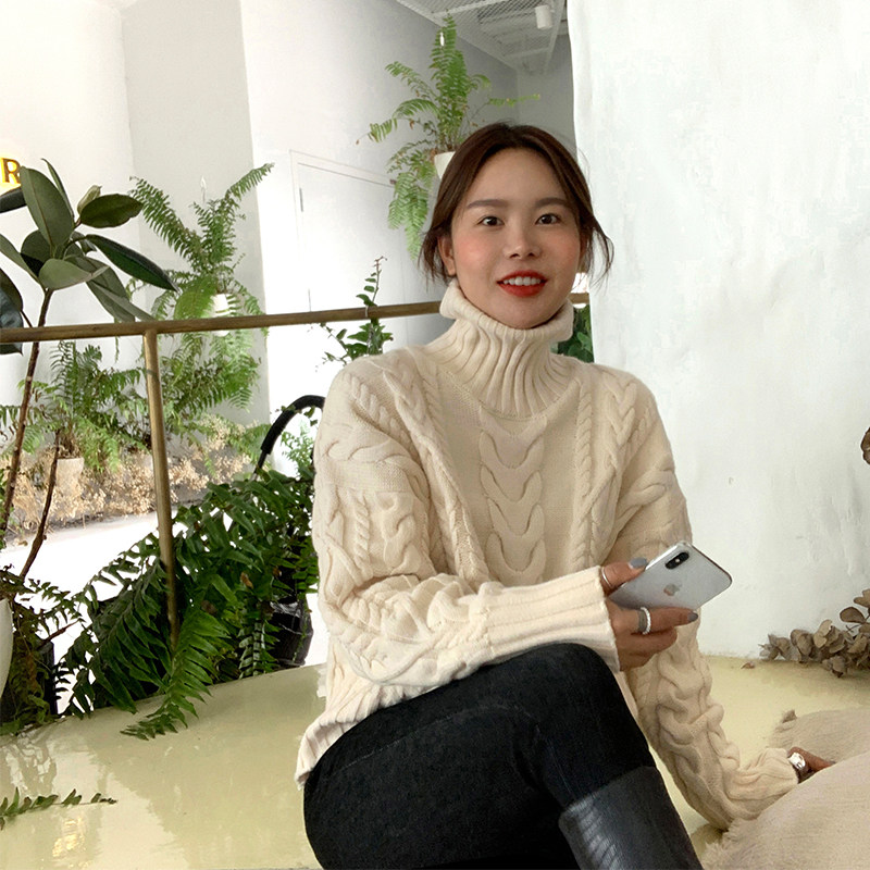 wxlstudio tri-color high neckline sweater woman 2020 new Korean version sleeve head long sleeve bottom blouse