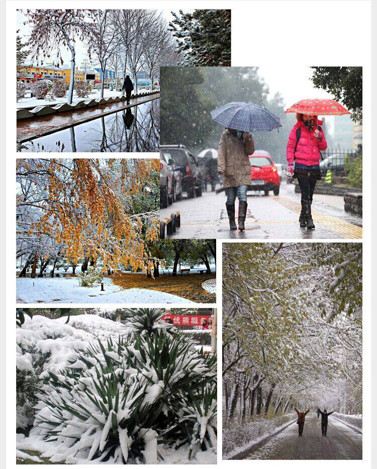 Sous-vêtement chaud jeunesse Y1 en coton - Ref 721481 Image 13