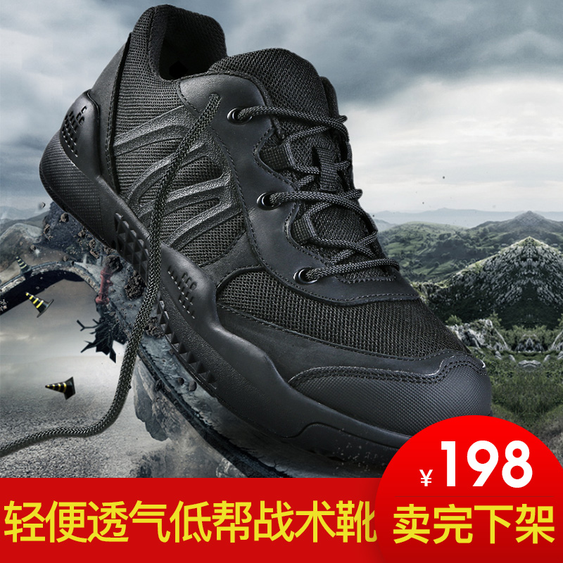 desert boots 198