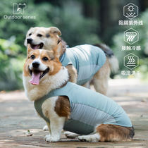 Dog Summer Cooling Vest Thin Breathable Quick-Drying T-Shirt Sun Protection Cooling Insect-Repellent Pet Clothing Corgi Border Collie