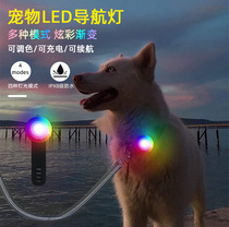 Dog night light Strap Charging Waterproof Light Light Pending Night Walking Walking Dog Light LED color lights