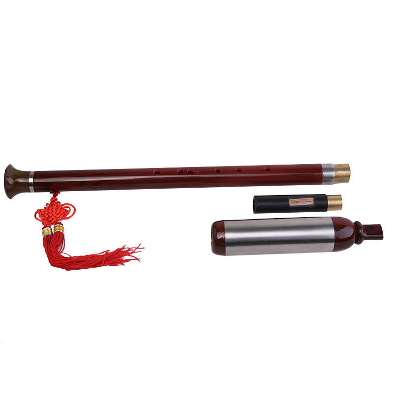 Risong LIGE Bau Vertical blown beginner to play resin glued wood imitation red wood F tone G tone