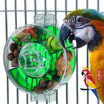American Foraging Paradise (Rotary Lunch Box) Large Number Cockatoo Forager Pet Birds Puzzle Toys