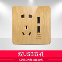 Двойной порт USB с пятью отверстиями (большая пластина, матовое золото 880)