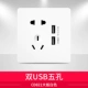 Двойной USB с пятью отверстиями (большая плата 821, белый)