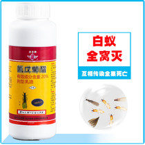 Tianying termite killing termites termites termites termites termites decoration prevention Qingfeng termite extinction