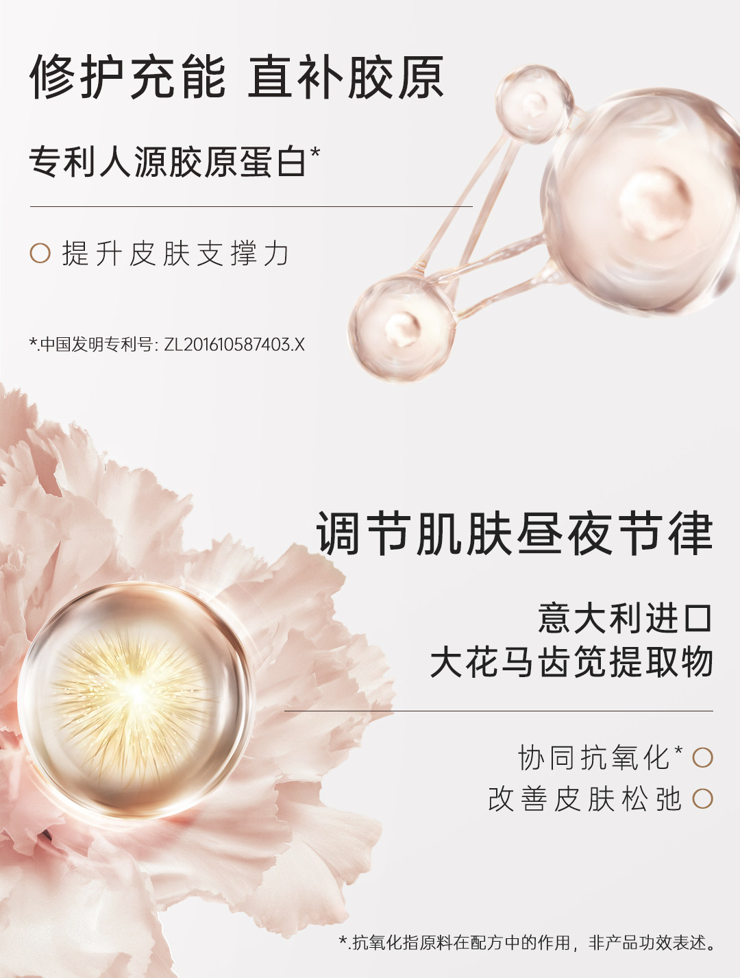 袋鼠妈妈燕窝面霜紧致抗皱备孕专用护肤品松露滋润精华霜秋冬保湿 — 21