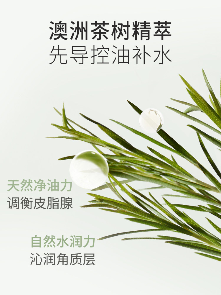 Kangaroo Mom Pregnant Women's Skin Care Products Tea Tree Oil Control Set Hydrating Moisturizing Water Emulsion Special Cosmetics for Oily Skin