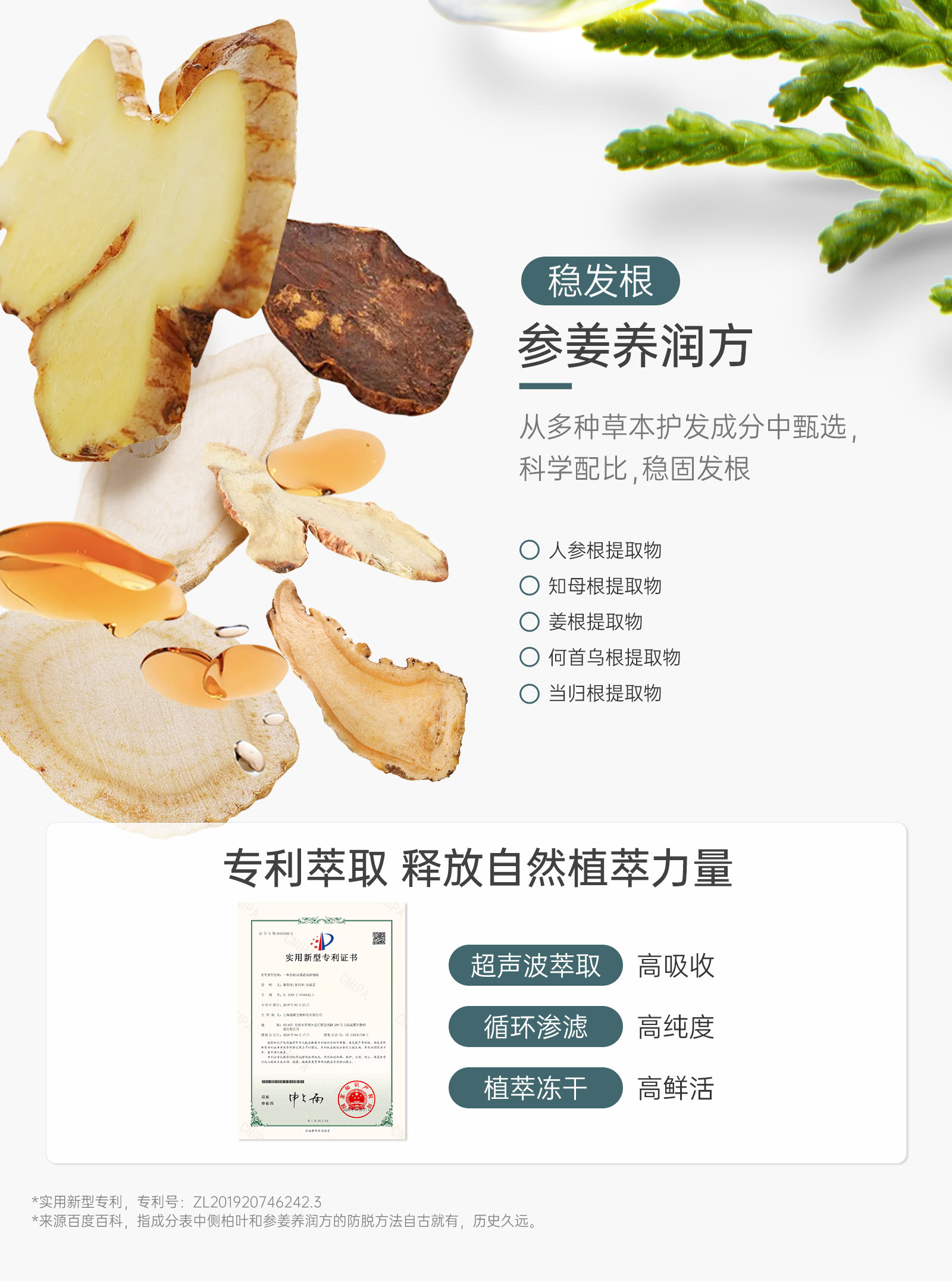 袋鼠妈妈防脱洗发水控油去屑专用生姜养发固发洗发露正品旗舰店 — 14