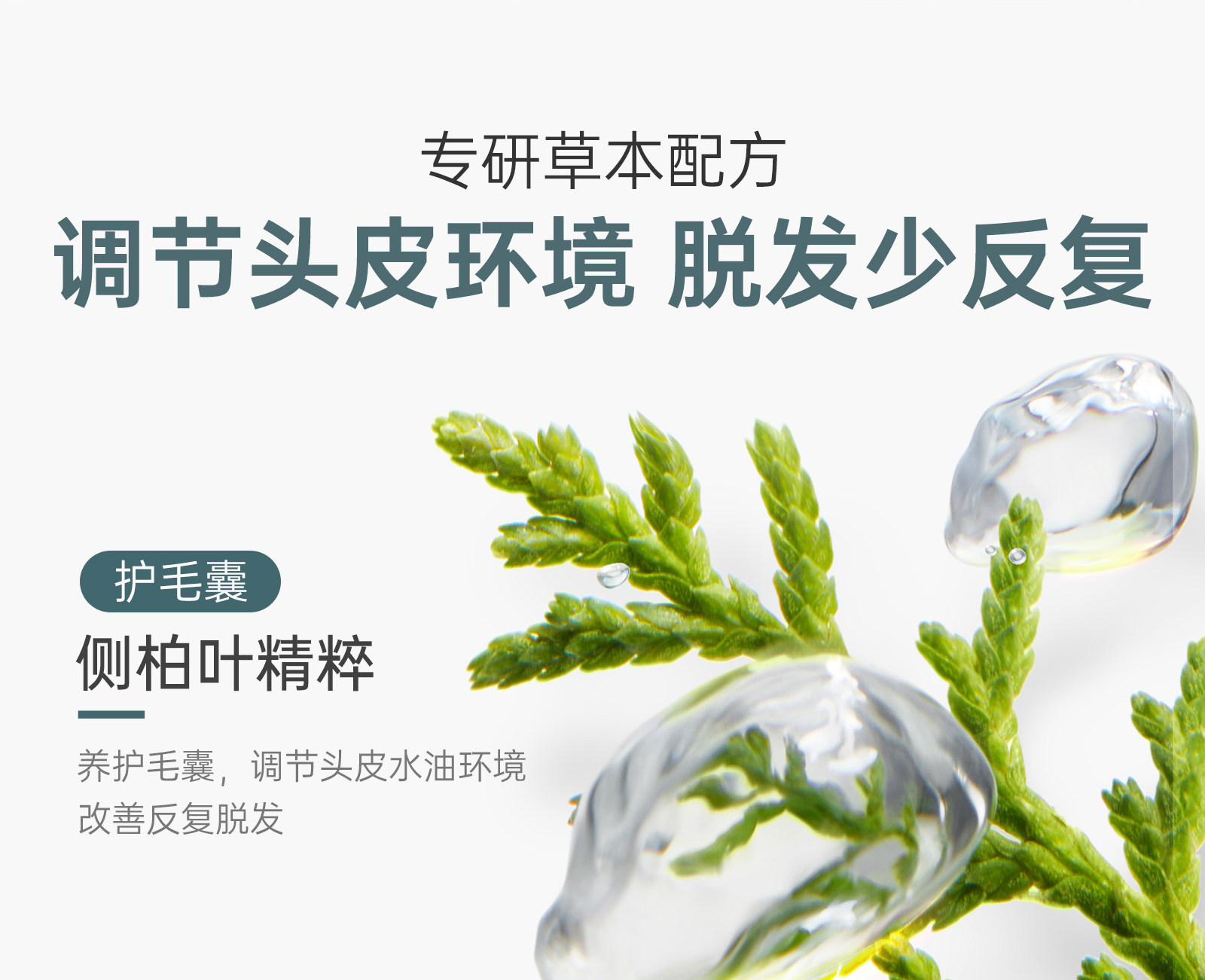 袋鼠妈妈防脱洗发水控油去屑专用生姜养发固发洗发露正品旗舰店 — 13