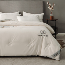 Simple quilt student dormitory bed mat hand-made cotton quilt single double spring and autumn winter thickened warm quilt