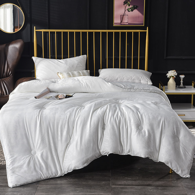 Simple net celebrity thick warm winter quilt single double soybean fiber quilt winter dormitory spring and autumn quilt core air conditioning summer quilt