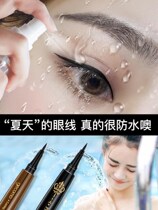 Big-eyed brown eyeliner waterproof sweatproof no decolorization long-lasting no dizziness beginner eyeliner pen trembles