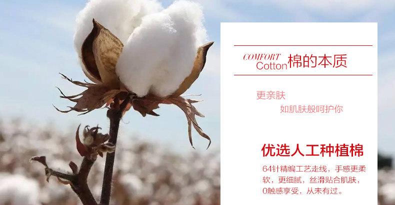 Slip jeunesse LAS025 en coton - Ref 669327 Image 9