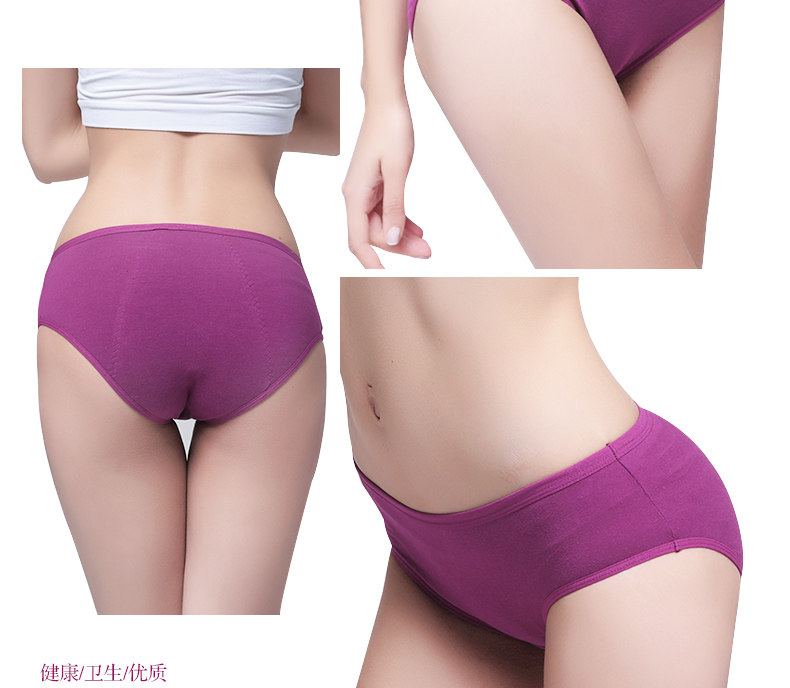 Slip jeunesse G1116 en coton - Ref 669351 Image 18