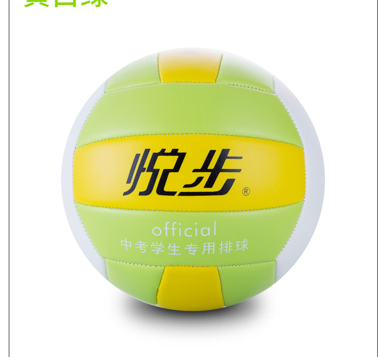 Ballon de volley - Ref 2009856 Image 20