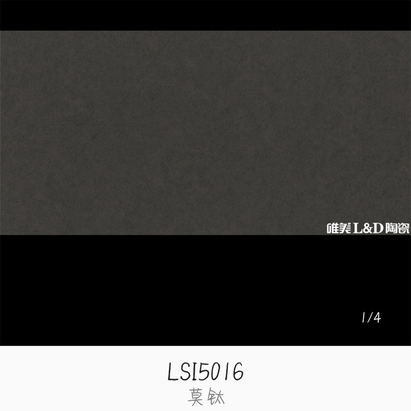 Meritocratic LD ceramic motitanium LSI5019 LSI5019 LSH5016 LSH5018 LSH5018 porcelain matt ground wall