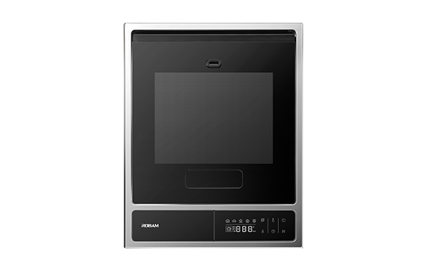 Boss Desktop Steamer SZ01