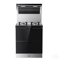 Martian integrated stove E2GH