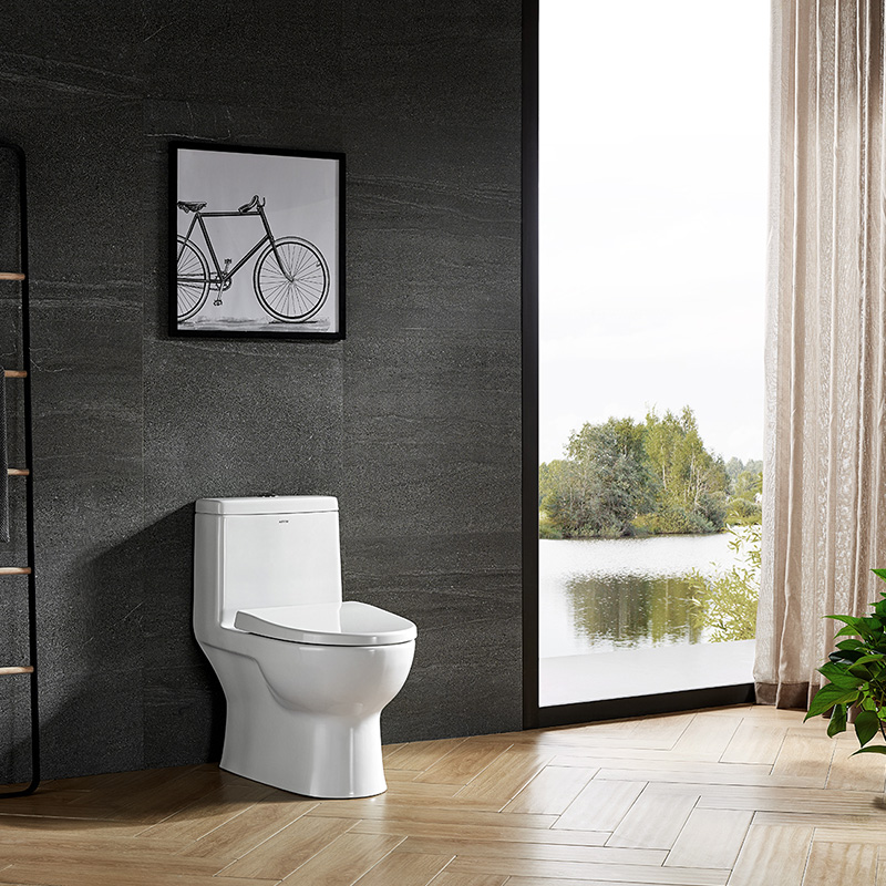 ARROW Arrows BATHROOM TOILET Home Makeup Room Ceramic Pumped Siphon Deodorant Toilet AB1177