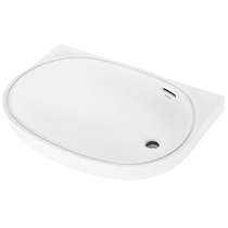 TOTO washbasin pelvic floor basin washbasin LW587B