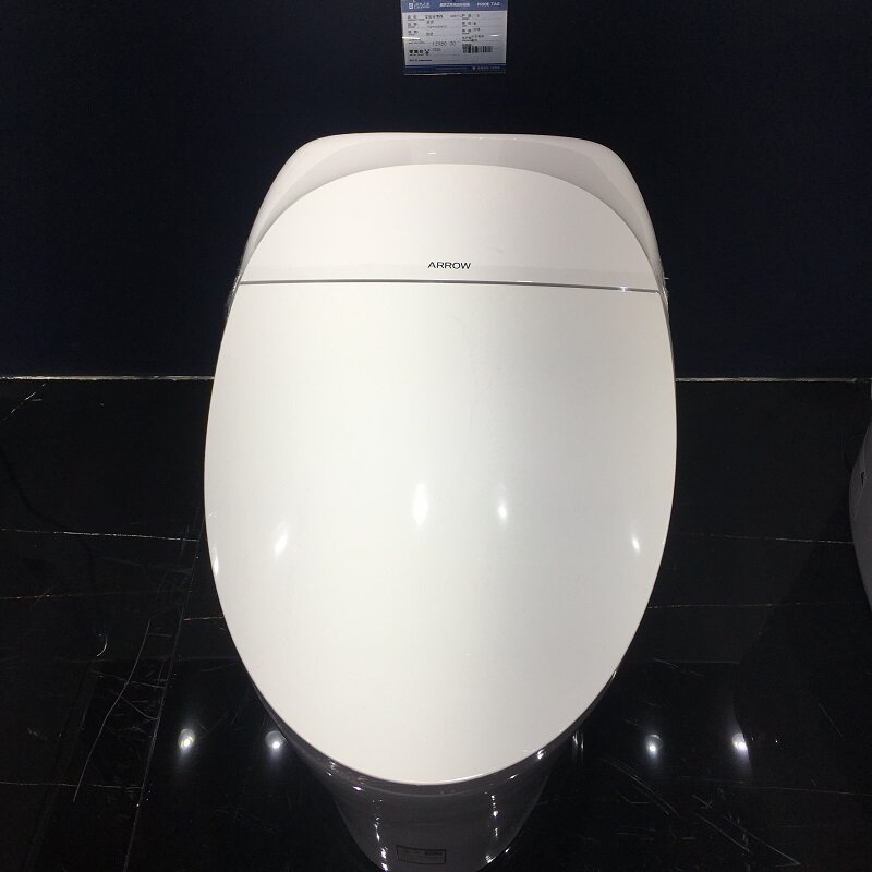 Wrigley Sanitary Ware 0 Water Pressure Smart Toilet Sterilization Water Purification