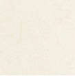 诺贝尔 Classic Tile Classic Full Glaze Atjury Rice Yellow RS807301