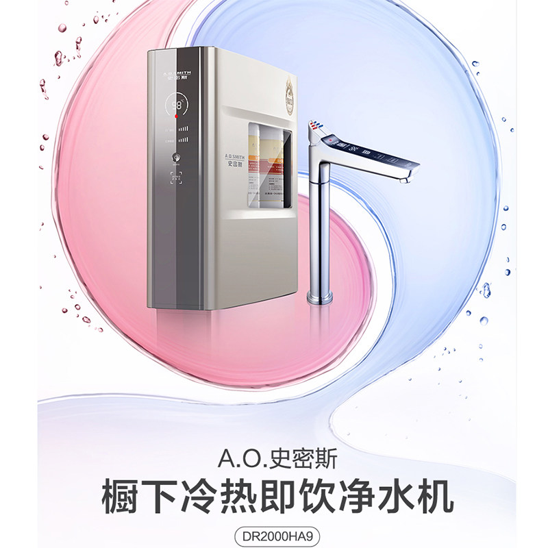 Smith Water Water Water Water Purifier DR2000HA9 actually House
