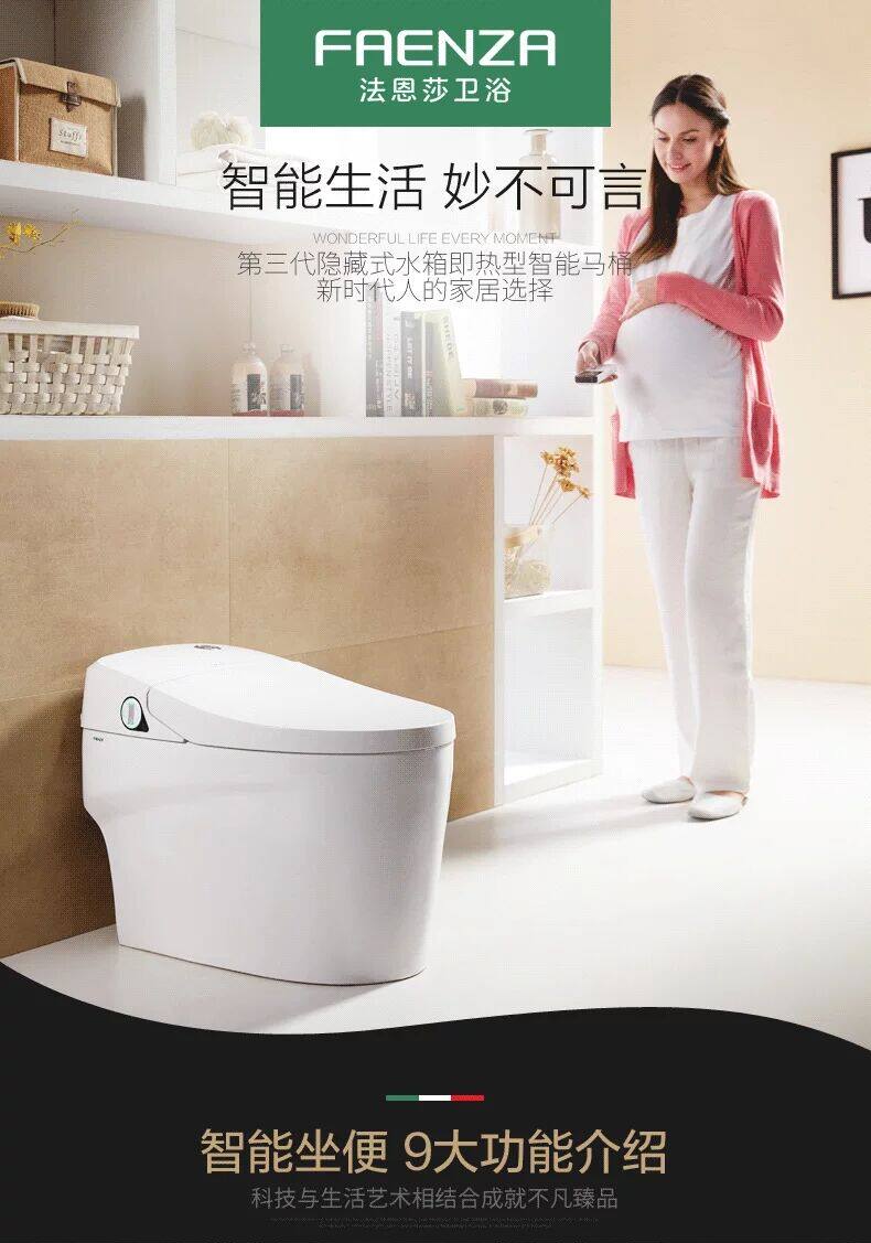 Farnsa FB16165 toilet
