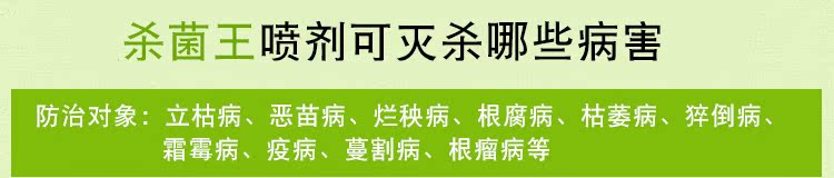 Cây hoa diệt côn trùng gián, giun thịt, thối đen, bột rễ, đốm đen, carbendazim cuộn ống nước tưới cây