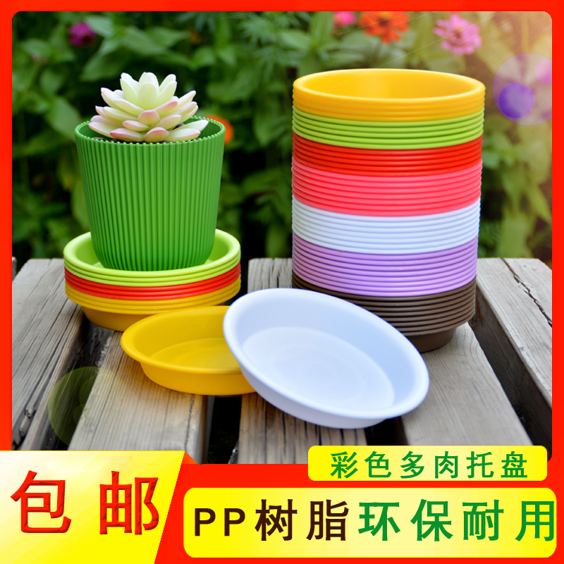 Multi-meat flower pot small tray Plastic water tray Flower tray Meat flower plate Small flower pot chassis Round tray flower base