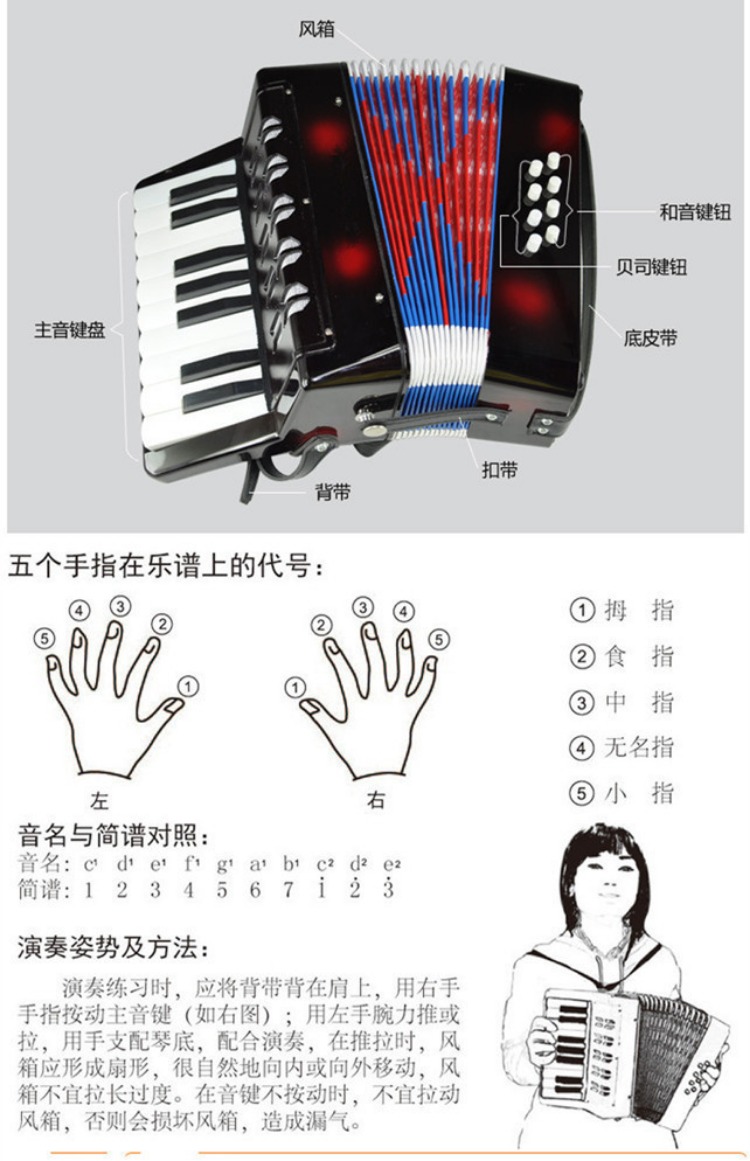 Xuất khẩu Hà Lan accordion chuyên nghiệp trẻ em mới bắt đầu 17 phím 8 bass câu đố giáo dục sớm nhạc cụ đồ chơi lớn shop đồ chơi