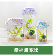 Yulu đa-nhỏ trồng công cụ làm vườn màu xanh lá cây công cụ trồng làm vườn trong chậu nguồn cung cấp hơn 68 nhân dân tệ bình xịt cây